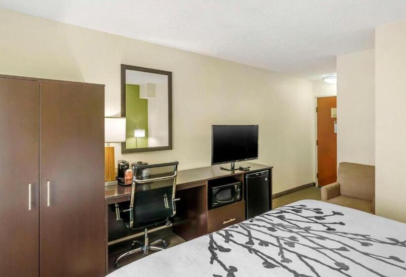Стандартный Номер Кровать Кинг, Sleep Inn