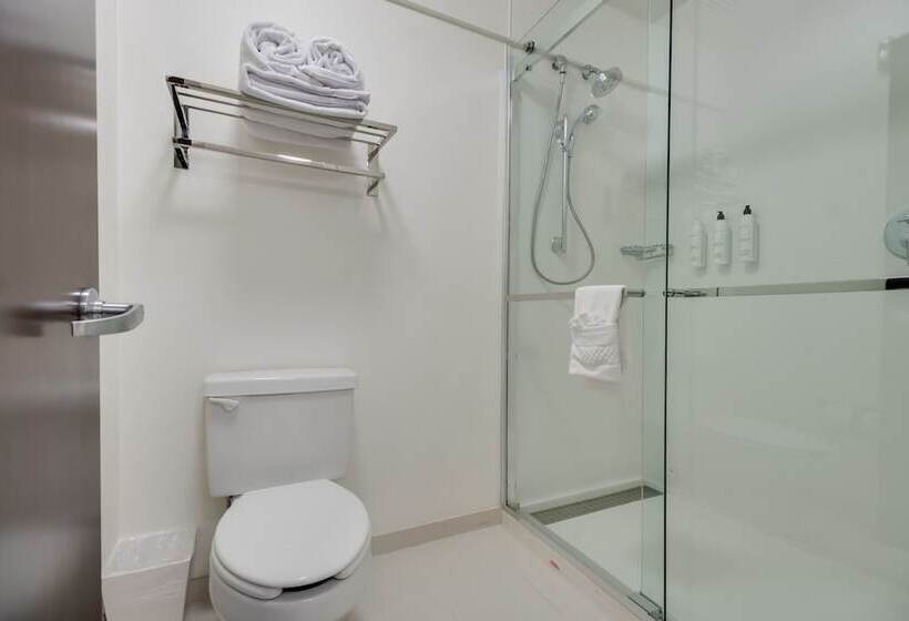 Люкс, Springhill Suites By Marriott Dallas Nw Highway At Stemmons / I 35east