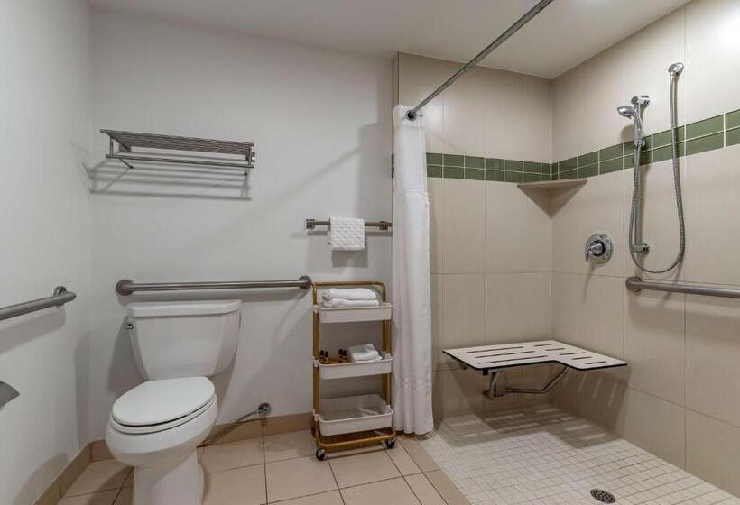 장애인을 위한 킹사이즈 침대 스탠다드 룸, Best Western Plus Executive Suites
