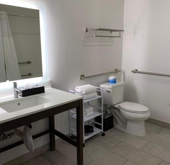 장애인을 위한 킹사이즈 침대 스탠다드 룸, Best Western Plus Executive Suites