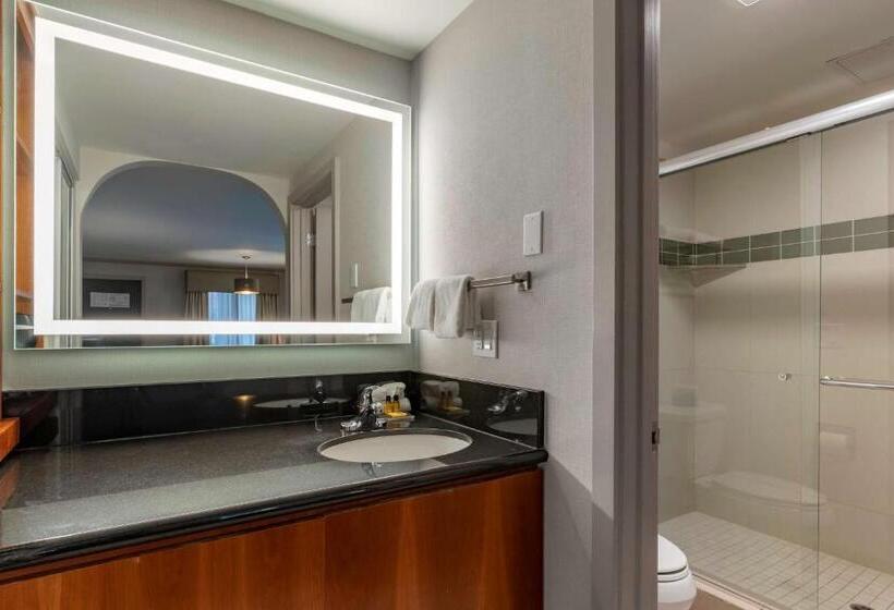 스탠다드 룸 킹사이즈 침대, Best Western Plus Executive Suites