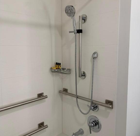 장애인을 위한 킹사이즈 침대 스탠다드 룸, Best Western Plus Executive Suites