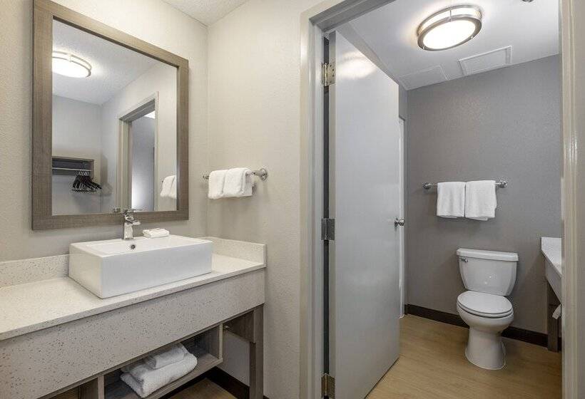 Номер Стандарт 2 Двуспальные Кровати, Red Roof Inn Plus Boston   Mansfield   Foxboro