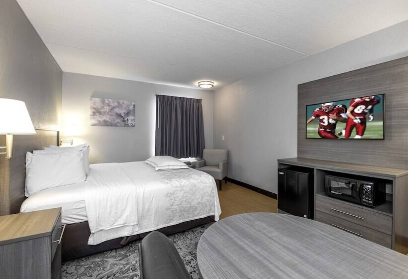 Номер Премиум, Red Roof Inn Plus Boston   Mansfield   Foxboro