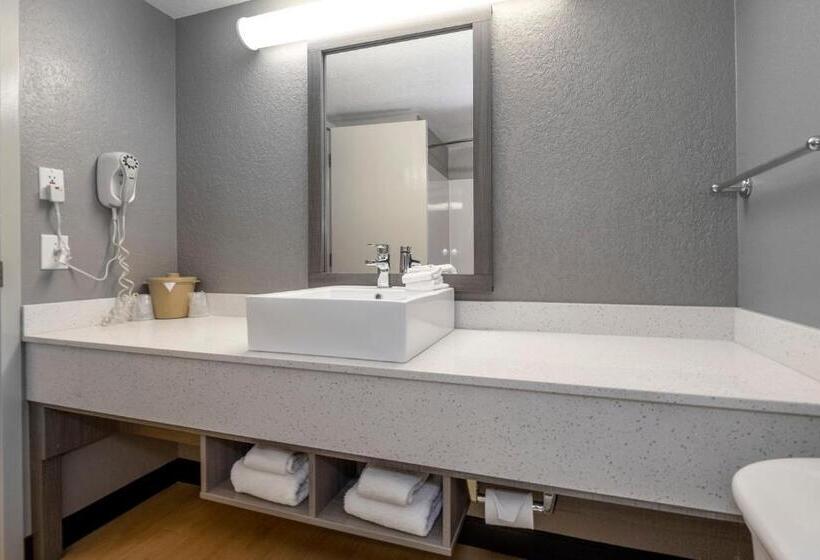 Номер Superior Кровать Кинг, Red Roof Inn Plus Boston   Mansfield   Foxboro