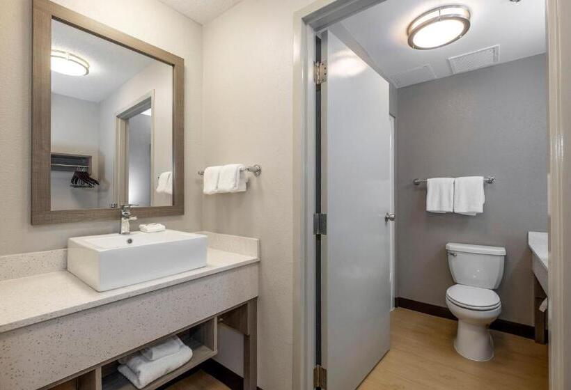 Номер Премиум, Red Roof Inn Plus Boston   Mansfield   Foxboro
