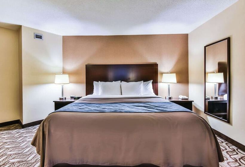 １階のスタンダードルーム, Comfort Inn & Suites Ambassador Bridge
