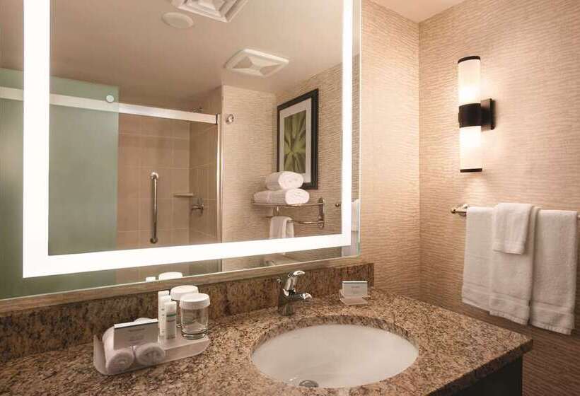 سوئیت با تخت بزرگ, Embassy Suites By Hilton Toronto Airport