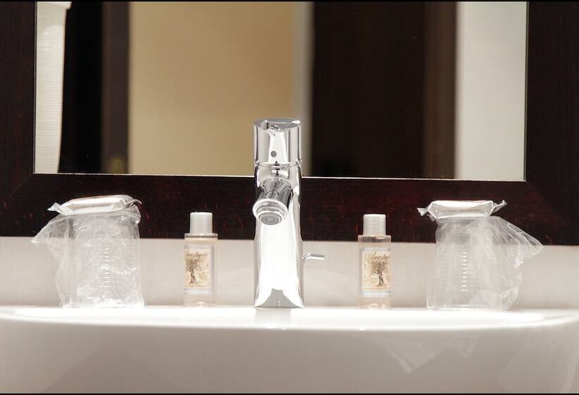 اتاق استاندارد یک نفره, Grand Hotel Francais