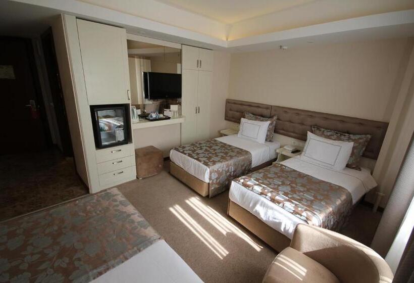 اتاق استاندارد سه نفره, Grand Washington