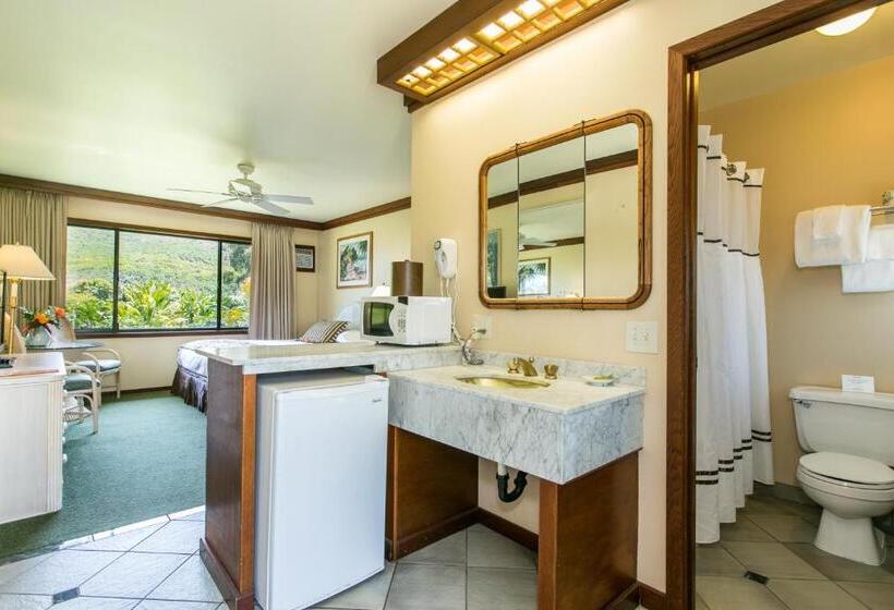 스탠다드 룸 킹사이즈 침대, Kauai Inn