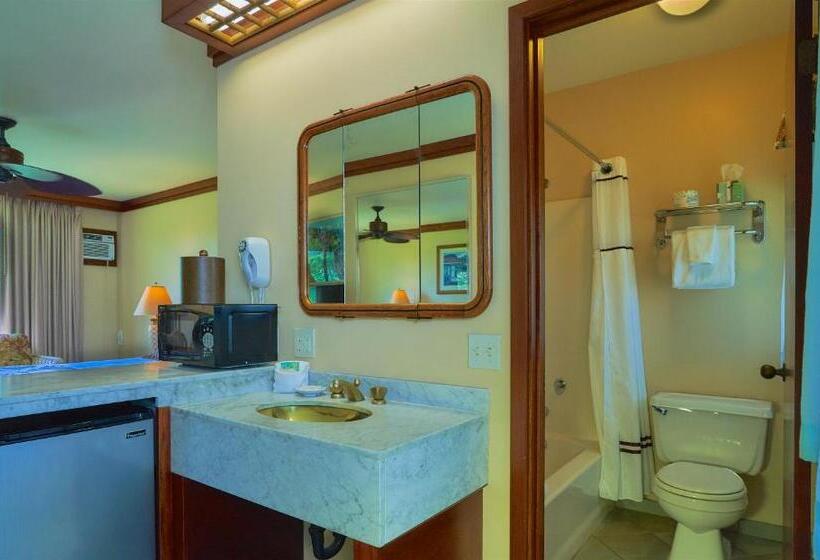 스탠다드 룸 킹사이즈 침대, Kauai Inn