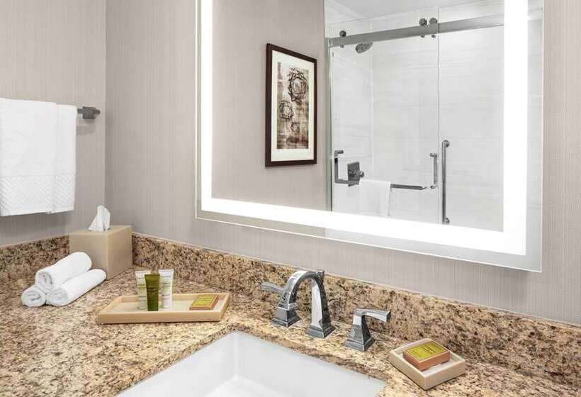 Номер Стандарт, Hilton Harrisburg