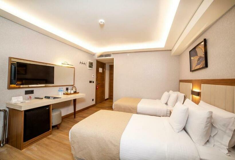スタンダードルーム, Erboy Hotel Istanbul Sirkeci