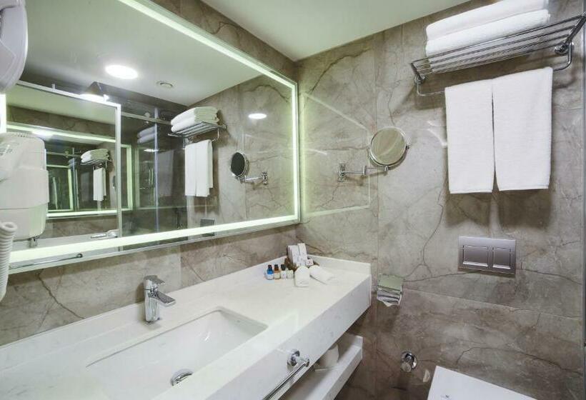 スタンダードルーム, Erboy Hotel Istanbul Sirkeci