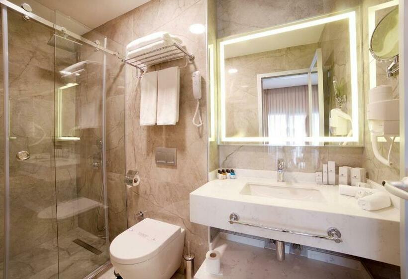 スタンダードルーム, Erboy Hotel Istanbul Sirkeci