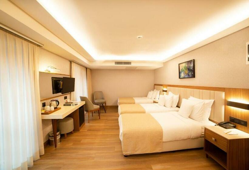 スタンダードトリプルルーム, Erboy Hotel Istanbul Sirkeci