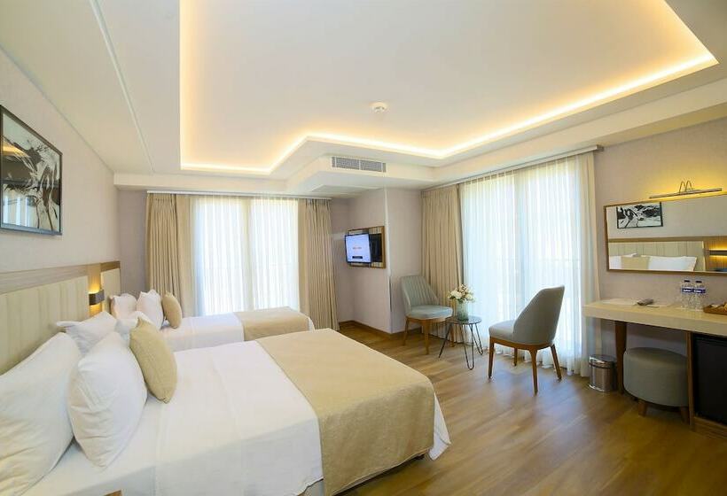 スタンダードトリプルルーム, Erboy Hotel Istanbul Sirkeci