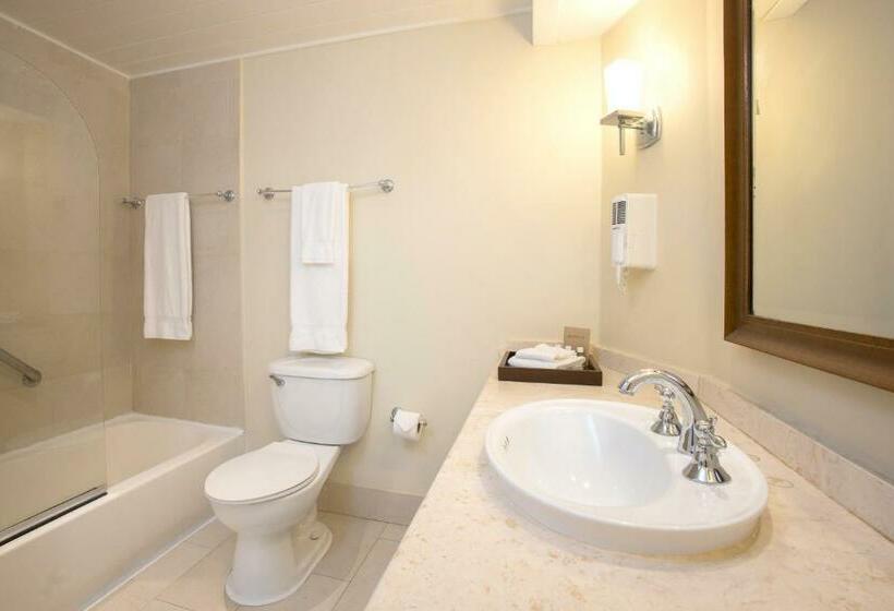 سوییت جونیور با چشم‌انداز دریا, Turtle Beach By Elegant Hotels   All Inclusive