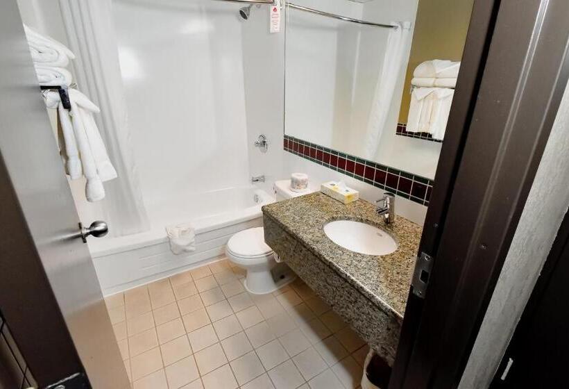 スタンダードルーム, Canad Inns Destination Centre Windsor Park