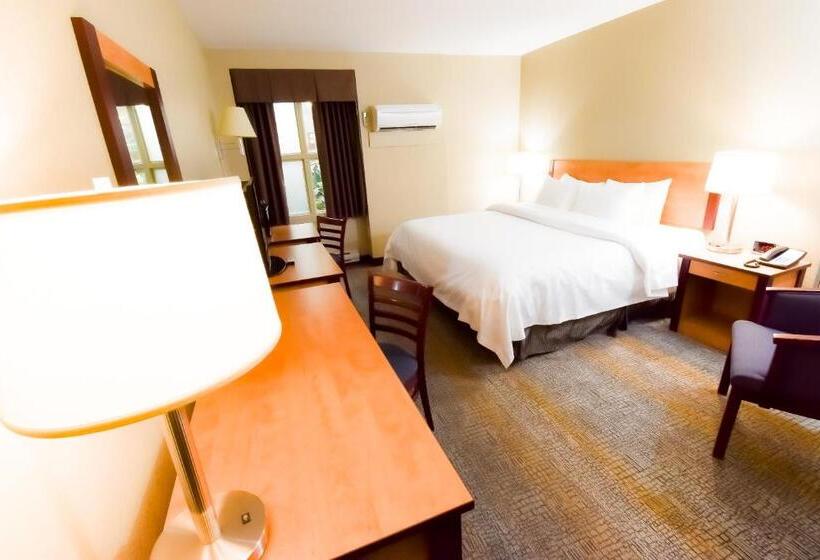 キングサイズベッドのスタンダードルーム, Canad Inns Destination Centre Windsor Park