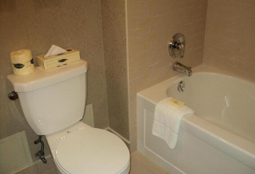 标准工作室, Montecassino Hotel & Suites