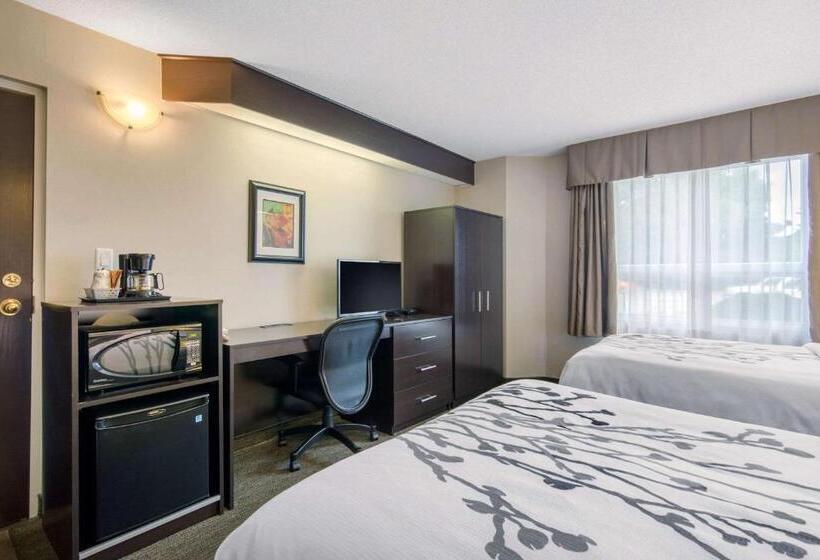 스탠다드 룸 더블 침대 2개, Sleep Inn