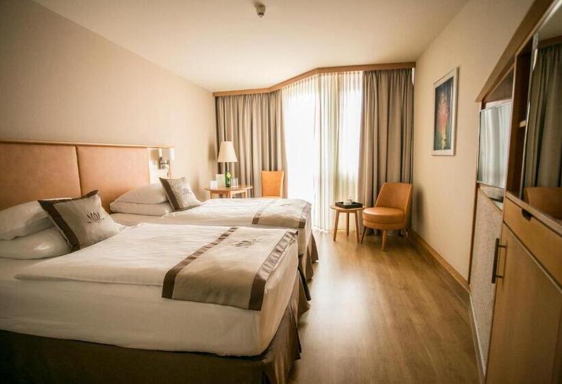 プールビュースタンダードルーム, Lotus Therme Hotel & Spa