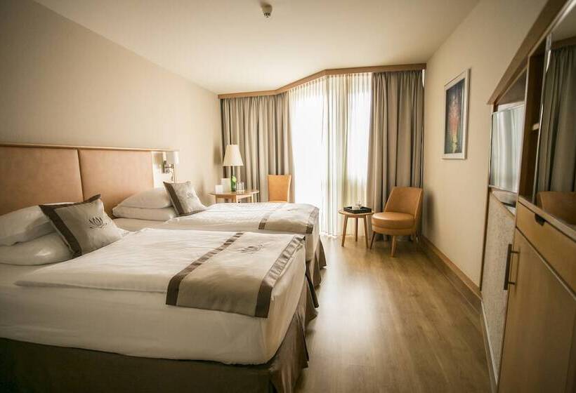 プールビュースタンダードルーム, Lotus Therme Hotel & Spa