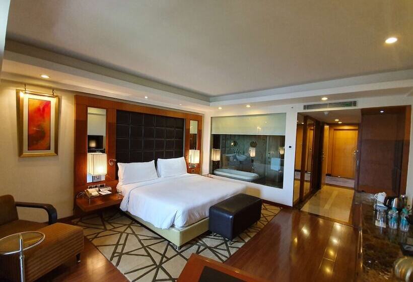 سوییت جونیور, Radisson Blu Plaza Delhi Airport