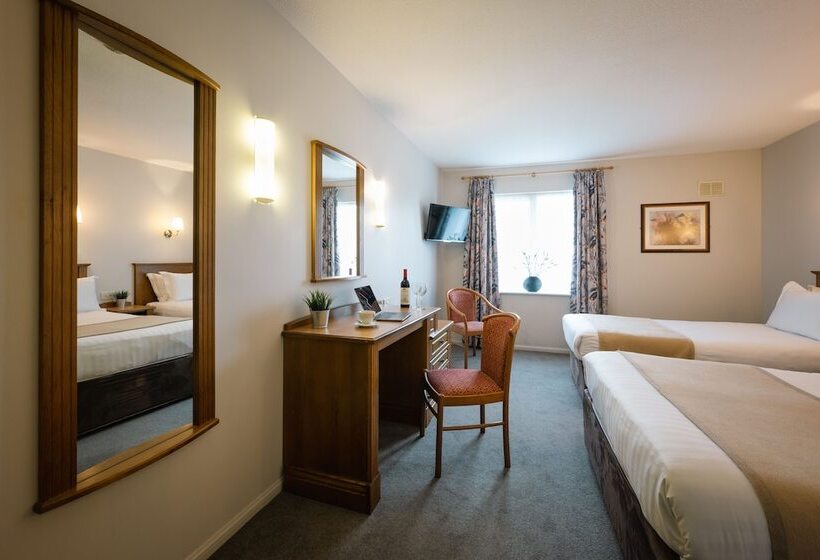 Номер Стандарт, Downhill Inn