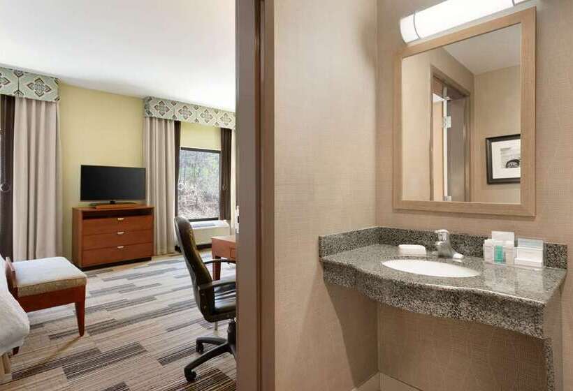 Стандартный Номер Кровать Кинг, Hampton Inn & Suites Spokane Downtownsouth