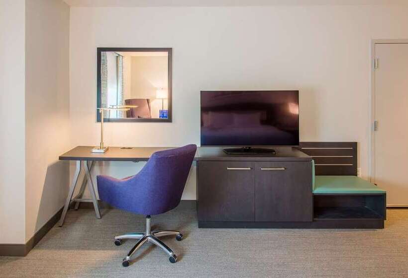 اتاق استاندارد با تخت بزرگ برای معلولان, Tru By Hilton Georgetown