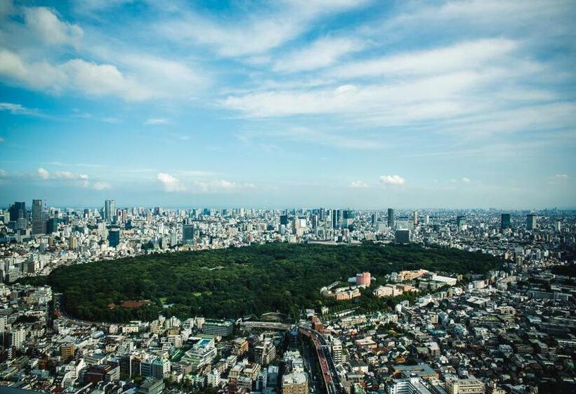 Стандартный Номер Кровать Кинг, Park Hyatt Tokyo