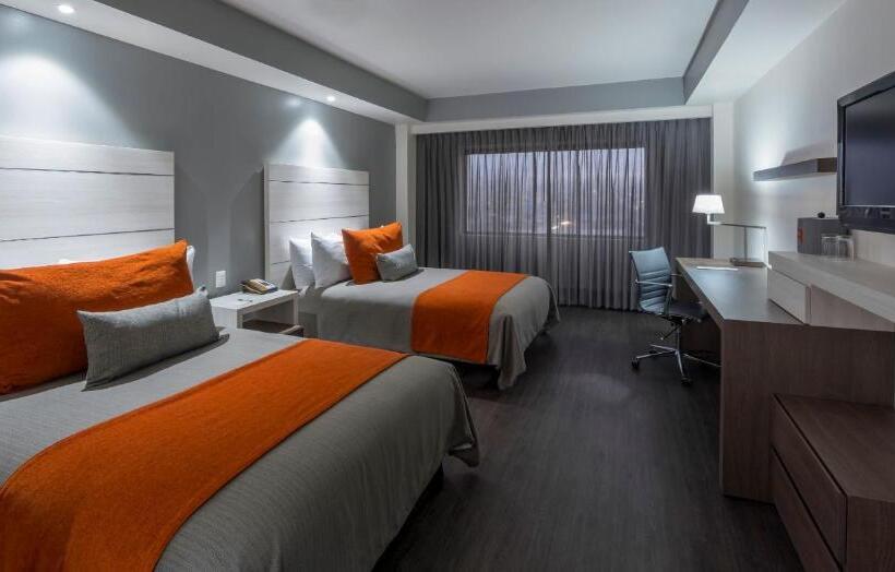 デラックスルーム, Real Inn Tijuana By Camino Real Hoteles