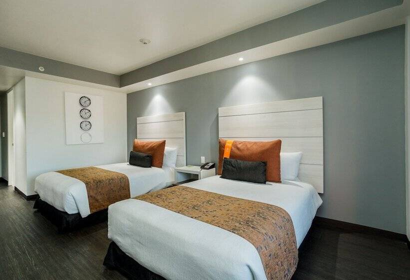 エクゼクティブルーム, Real Inn Tijuana By Camino Real Hoteles
