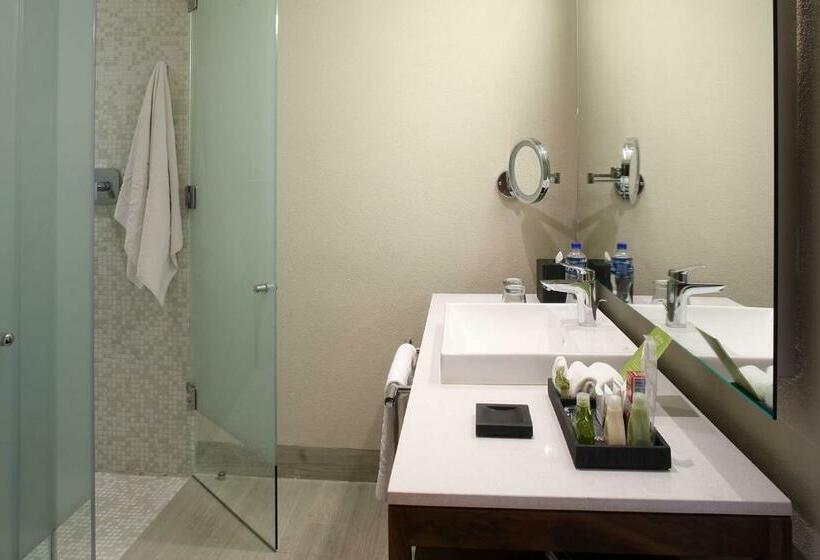 Suite Deluxe Pat King, Emporio Cancun   Buy All Inclusive Option