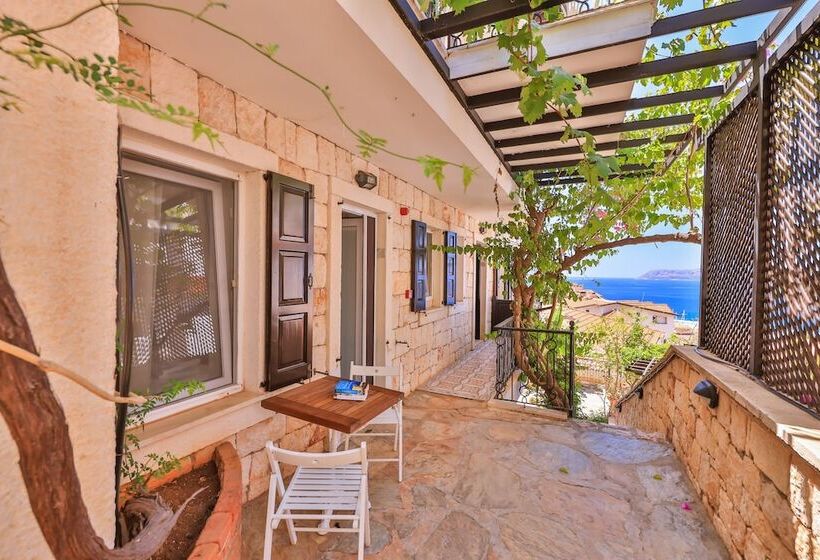 Economy Zimmer, Luna Kaş