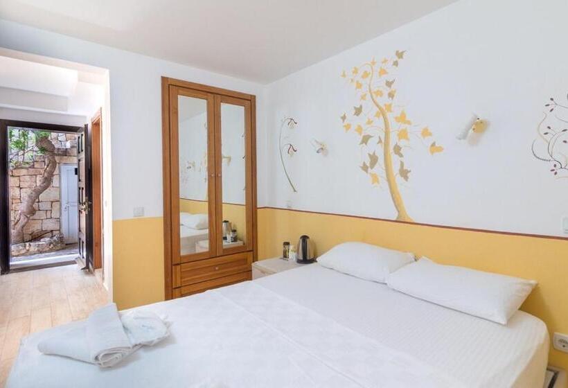 Economy Zimmer, Luna Kaş