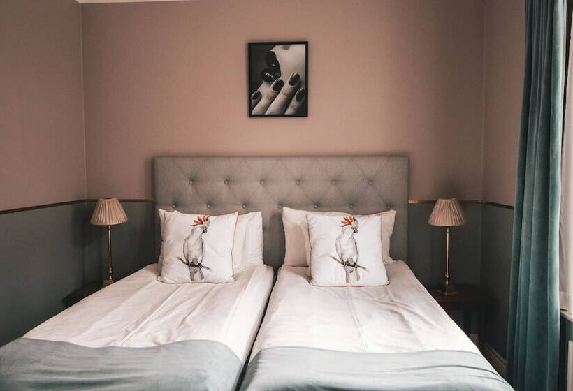 高级大房间, Mojo Hotell