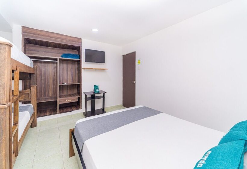 Quarto Quádruplo Estandar, Ayenda Casa Paraiso 1327