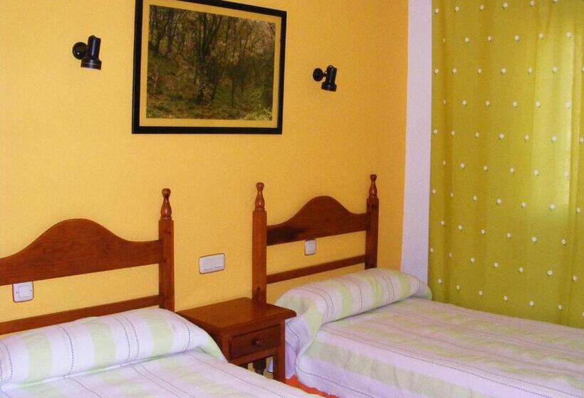 Номер Стандарт Индивидуальный, Hostal Avenida