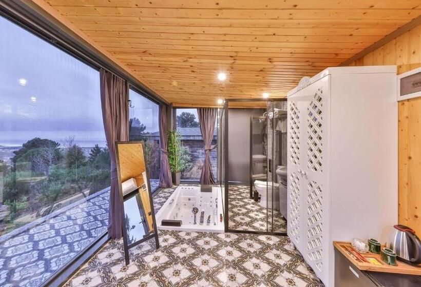 Номер Стандарт с Гидромассажем, Agva Teras Garden Hotel & Bungalow