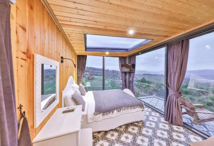 Номер Стандарт с Гидромассажем, Agva Teras Garden Hotel & Bungalow