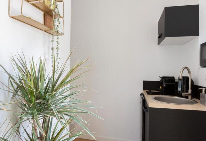 استودیوی استاندارد, Apparts  Rennes Bnb Duhamel  Centre Gare