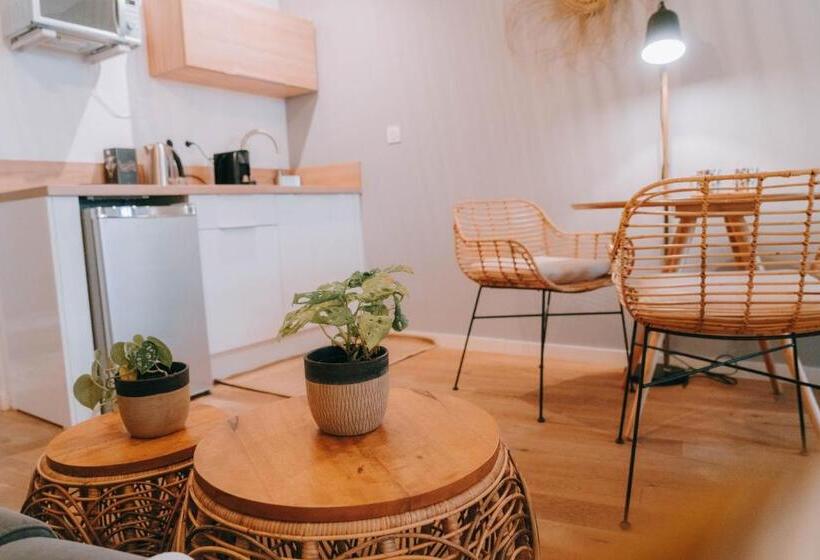 آپارتمان سوپریور 1 خوابه, Apparts  Rennes Bnb Duhamel  Centre Gare
