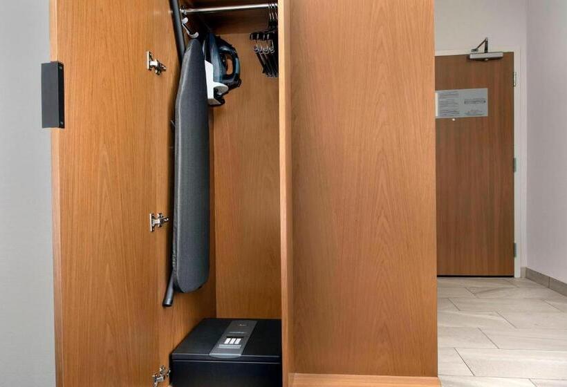 带大床的套房, Fairfield Inn & Suites By Marriott New Orleans Metairie