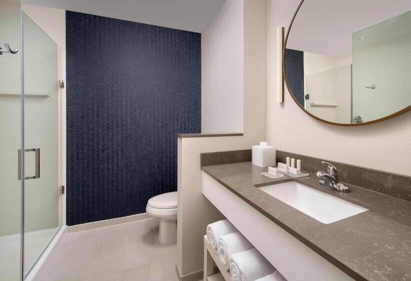 Стандартный Номер Кровать Кинг, Fairfield Inn & Suites By Marriott New Orleans Metairie