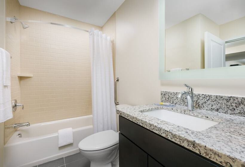 标准工作室, Candlewood Suites   Orlando   Lake Buena Vista, An Ihg