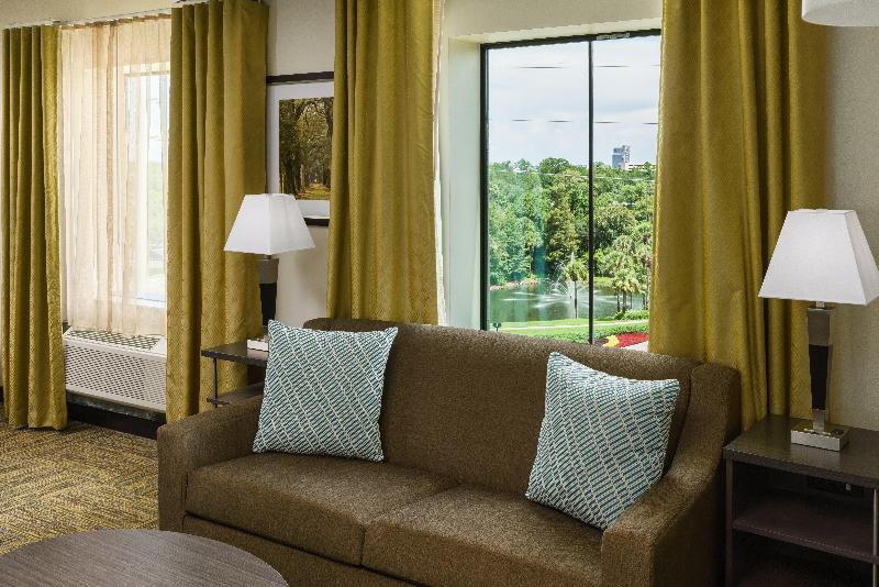 标准工作室, Candlewood Suites   Orlando   Lake Buena Vista, An Ihg